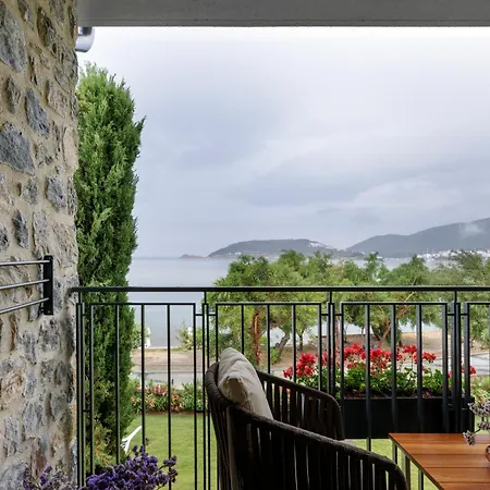 Palaia 5*
