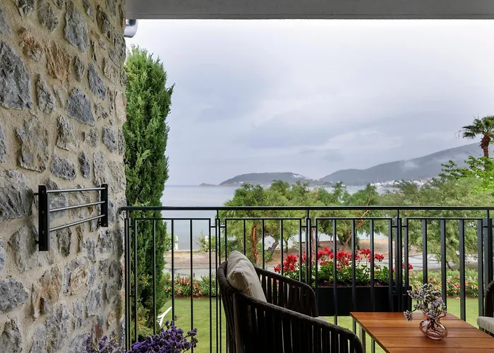 Palaia Hotel