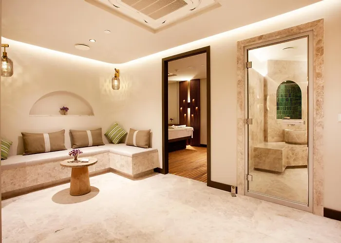 Palaia Hotel 5*