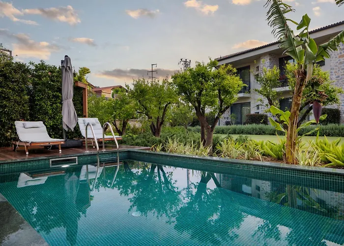 Palaia 5*