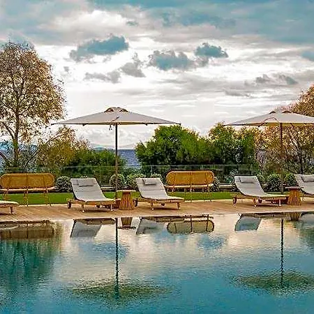Palaia Hotell