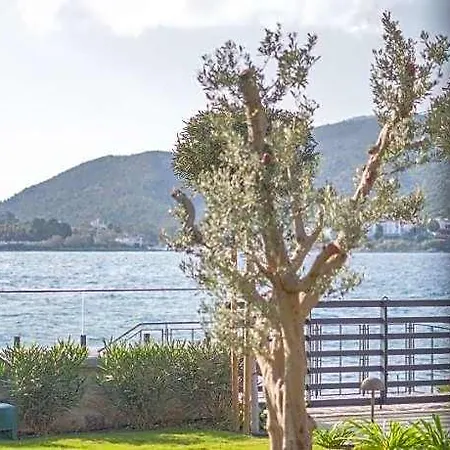 Palaia Hotell 5*