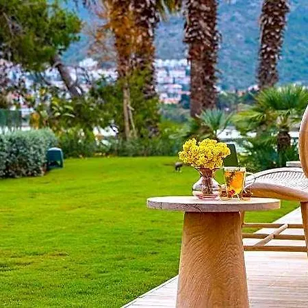 Hotell Palaia 5*